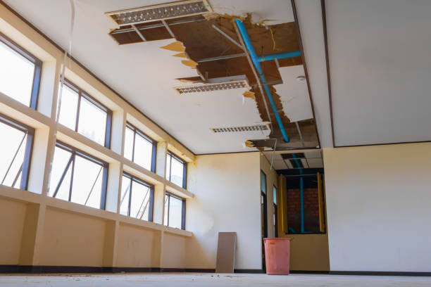Best Basement water damage restoration  in Berwyn, IL