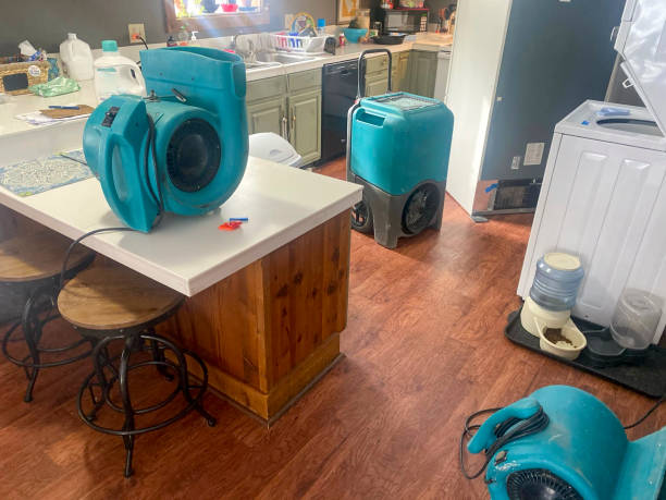 Best Local water damage restoration  in Berwyn, IL