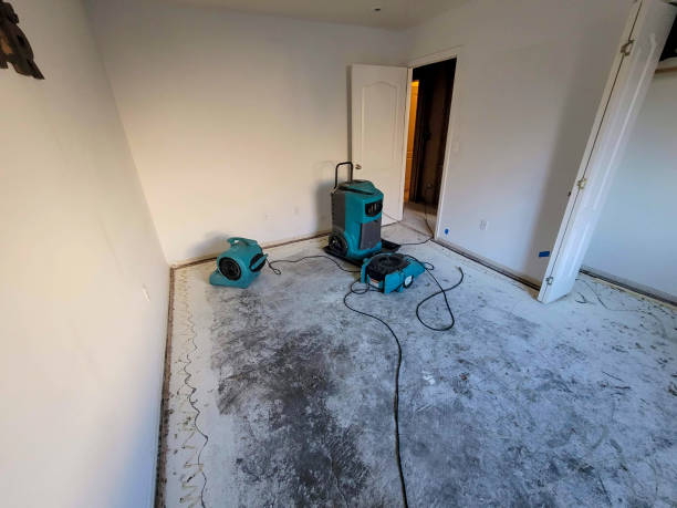 Water damage restoration mold remediation in Berwyn, IL