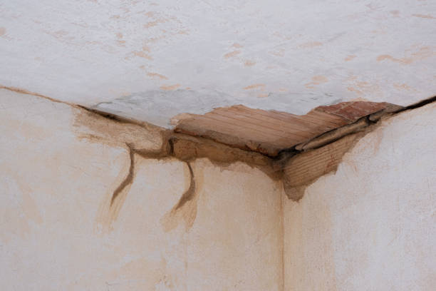 Best Emergency water damage restoration  in Berwyn, IL