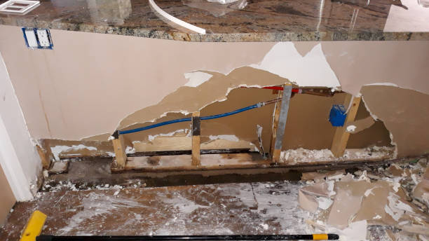 Best Professional water damage repair  in Berwyn, IL