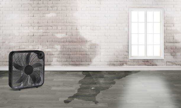 Berwyn, IL Water damage restoration Company
