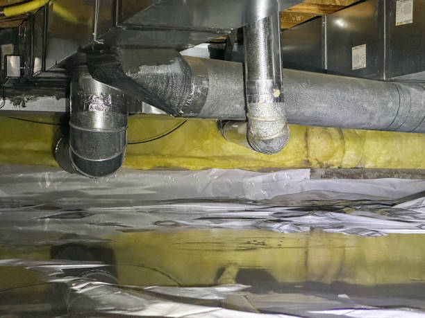 Best Flood restoration services  in Berwyn, IL