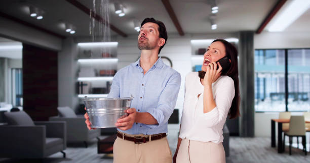 Best 24-hour water damage restoration  in Berwyn, IL