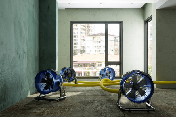 Best Carpet water damage restoration  in Berwyn, IL